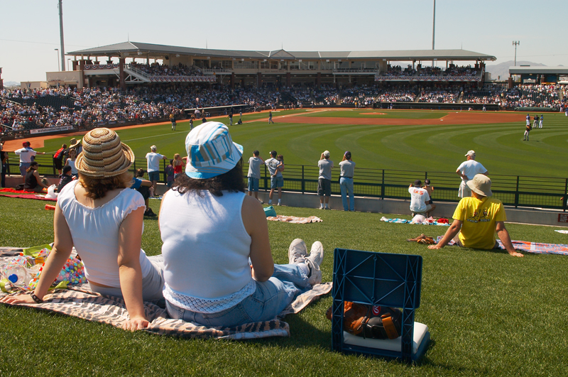 Surprise Spring Training Seating Chart