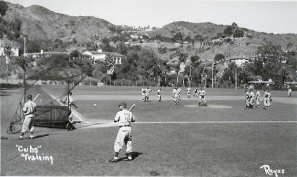 Chicago Cubs on Catalina Island